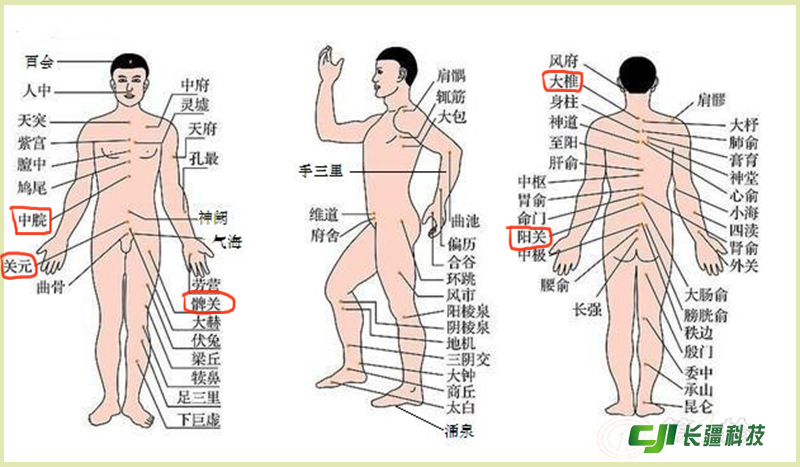 減肥穴位圖.jpg