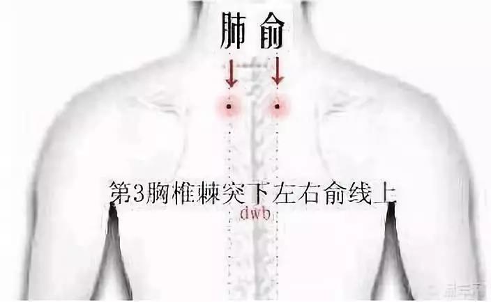 微信圖片_20191108151744.jpg 微信圖片_20191108151744.jpg
