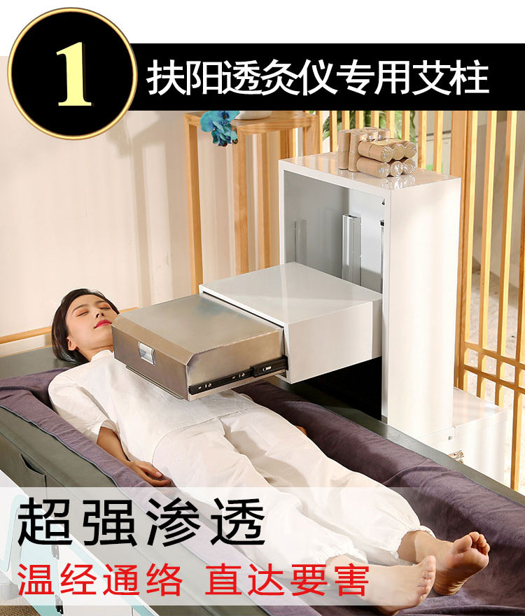 艾柱綜合拉頁6.jpg 艾柱綜合拉頁6.jpg